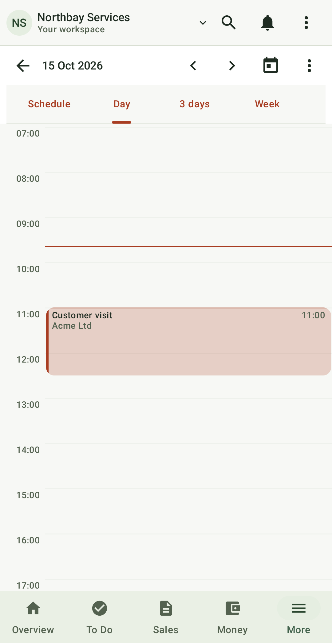 Native calendar day view showing a customer visit and pending work with scheduled tasks